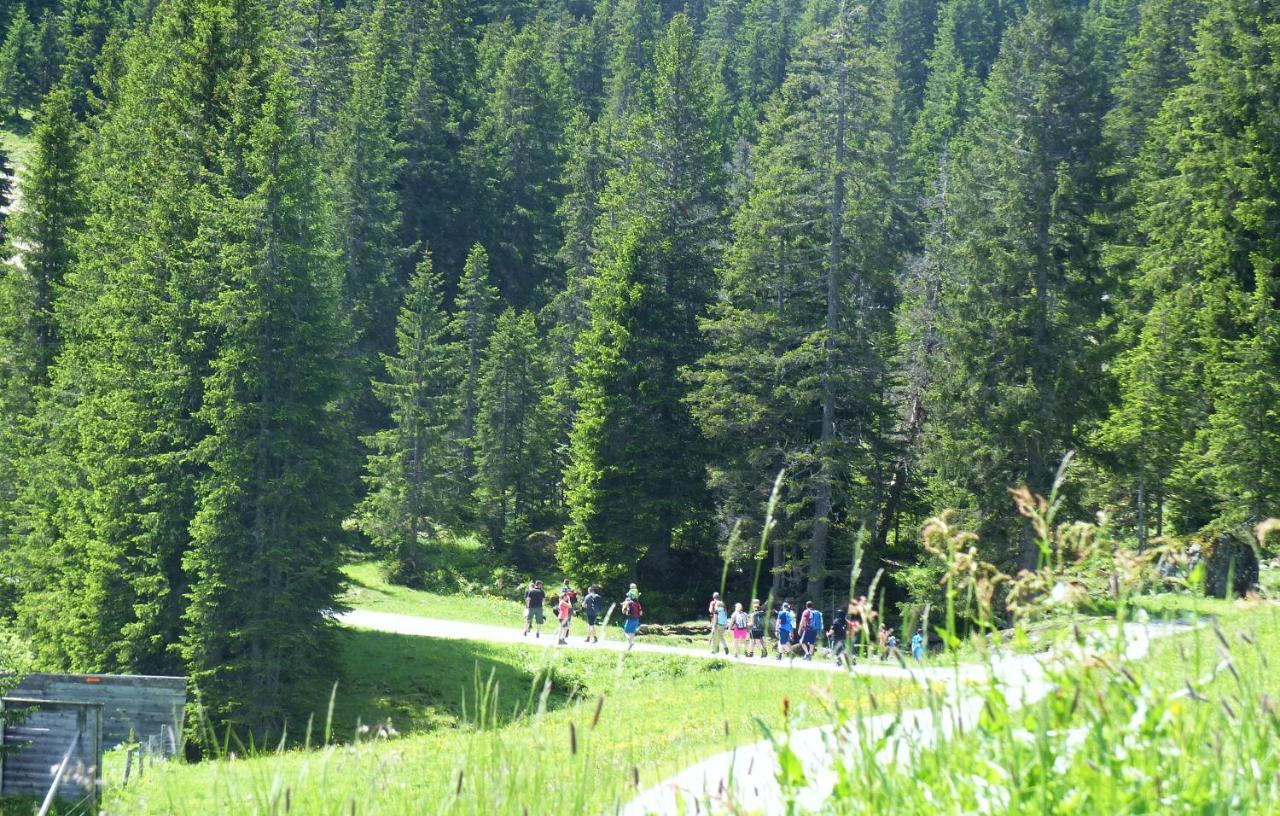 غارغيلين Alpinresortmontafon Garni المظهر الخارجي الصورة